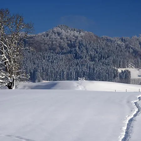 Stayzen Holz & Hirsch Deluxe Hideaway Zentral Mit Parkplatz Isny im Allgau Exterior photo
